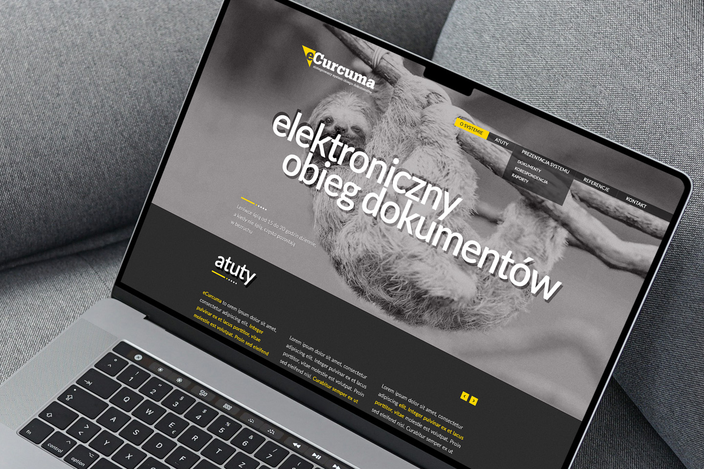 projekt strony www eCurcuma