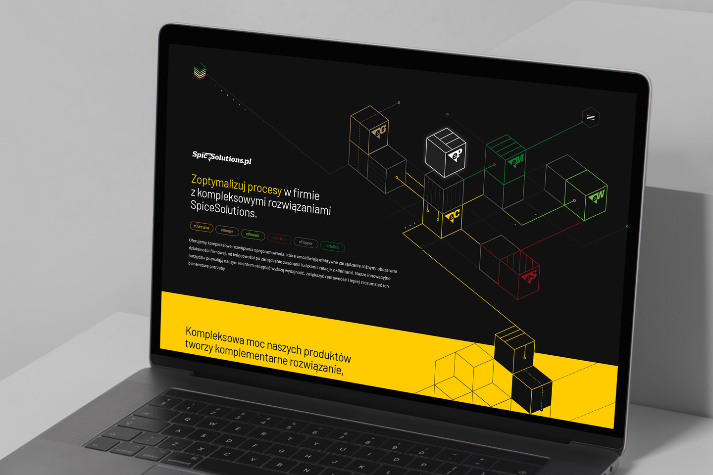 projekt strony www SpiceSolutions